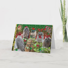 Cartão De Festividades Feliz Natal Coruja com um guaxinim