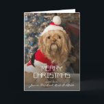 Cartão De Festividades Feliz Natal das patas do papai noel<br><div class="desc">Feliz Natal das patas do papai noel</div>