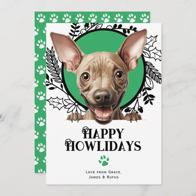 Cartão De Festividades Feliz Natal de Cachorro Sem Cabelo Americano (Frente/Verso)