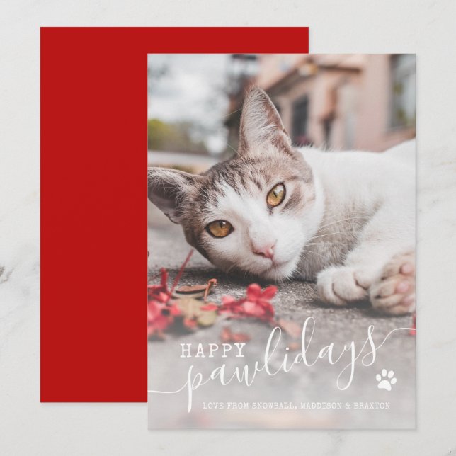 Cartão De Festividades Feliz Natal de Feliz Feliz Feliz Gato Foto de Gato (Frente/Verso)