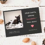 Cartão De Festividades Feliz Natal de Pet | Definir travesseiro<br><div class="desc">Cartão com fotos de férias para amantes de animais de estimação! O texto diz "Caros Papais noeis, Definam "DESCULPADO" de XX (nome do seu animal de estimação)." Substitua a imagem por seu filhote travesso ou gatinho favorito do seu instagram. O quadro fotográfico está em forma quadrada para que a sua...</div>