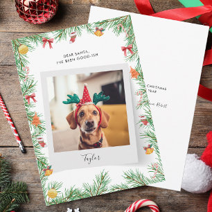 Cartão De Festividades Feliz Natal de Pet Dog Engraçado ou Engraçado
