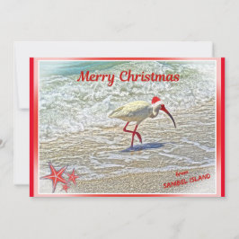 Cartão De Festividades Feliz Natal de Sanibel Island FL White Ibis