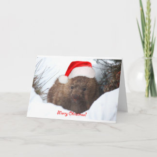 Cartão De Festividades Feliz Natal de um wombat de para baixo abaixo