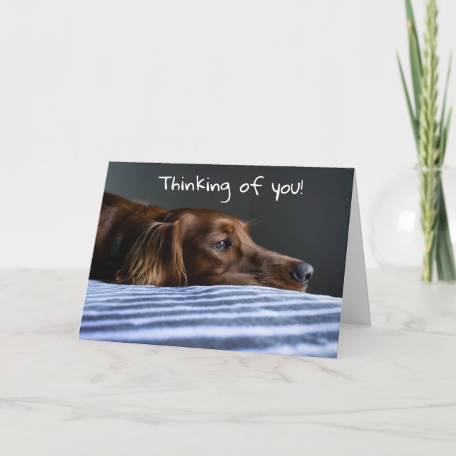 CARTÃO DE FESTIVIDADES "FELIZ NATAL" DO CACHORRINHO DOCE (Frente)