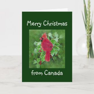 Cartão De Festividades Feliz Natal do Canadá, Pássaro Cardeal