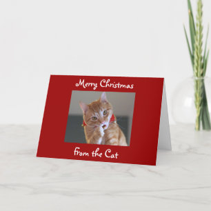 Cartão De Festividades Feliz Natal do Gato