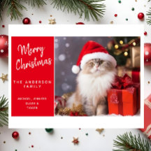 Feliz Natal do Gato com um Chapéu de Papai Noel