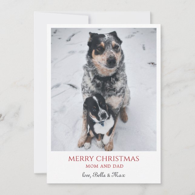 Cartão De Festividades Feliz Natal Dos Cachorros (Frente)