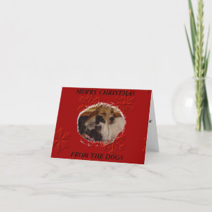Cartão De Festividades Feliz Natal dos cães