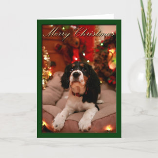 Cartão De Festividades Feliz Natal - Espanhol Springer, Springer