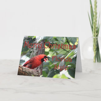 Cartão De Festividades Feliz Natal, Estilo da Flórida