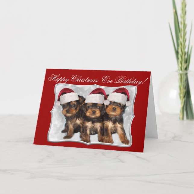 Cartão De Festividades Feliz Natal Eve Birthday Yorkshire Terriers (Frente)