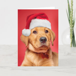 Cartão De Festividades Feliz Natal, Fofo Labrador Puppy em Santa Hat