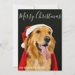 Cartão De Festividades Feliz Natal Foto de Cachorro Fofo Desejos Simples