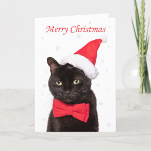 Cartão De Festividades Feliz Natal Gatinho Fofo de Chapéu e Gravata Borbo