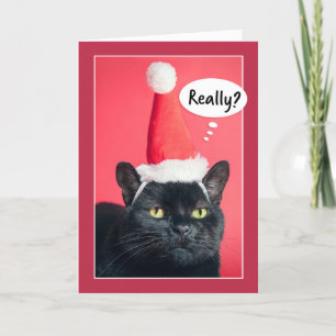 Cartão De Festividades Feliz Natal Gato Irritado com Chapéu de Papai Noel