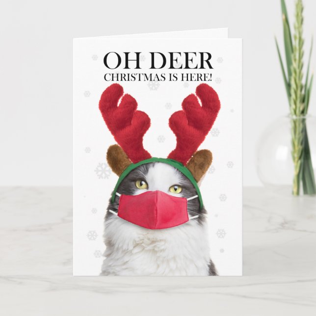 Cartão De Festividades Feliz Natal Gato Reindeer Antlers e Máscara (Frente)