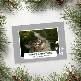 Cartão De Festividades Feliz Natal Gato White Paw Imprime Foto