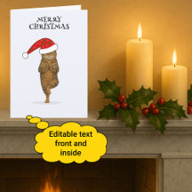 Feliz Natal gato yoga 