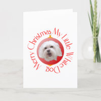 Feliz Natal Havanese