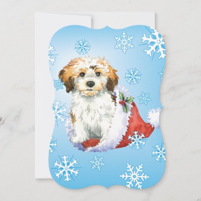 Cartão De Festividades Feliz Natal Havanese (Frente)