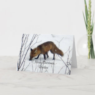 Cartão De Festividades Feliz Natal Irmão-Fox em Neve