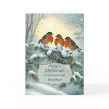 Feliz Natal Irmão Robins