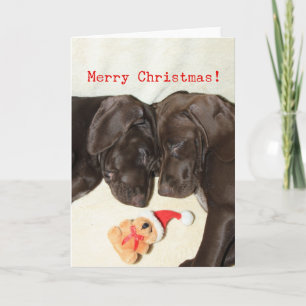 Cartão De Festividades Feliz Natal - Irmãs Pointer Alemãs