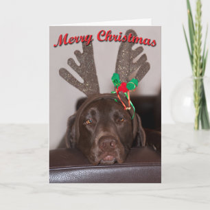 Cartão De Festividades Feliz Natal, Labrador, Com Glitter Antlers