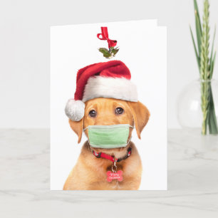 Cartão De Festividades Feliz Natal Labrador Puppy em Face Mask e Sa