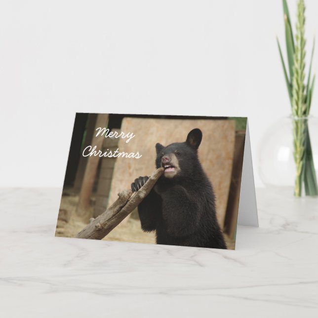 Cartão De Festividades Feliz Natal - Lanikai (Frente)