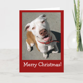 Cartão De Festividades Feliz Natal Melhor Freind