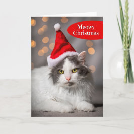 Cartão De Festividades Feliz Natal Meowy Para Qualquer Gatinho Fofo de Pa
