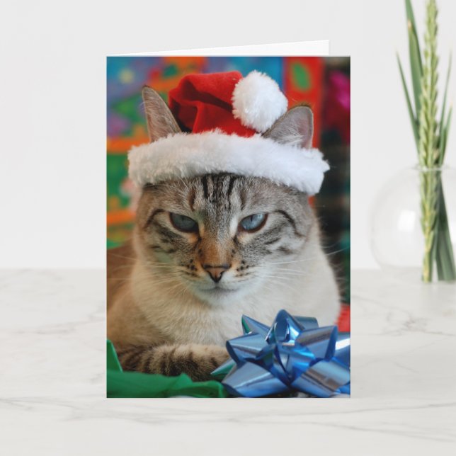 Cartão De Festividades Feliz Natal (mesmo que seja malvado) (Frente)