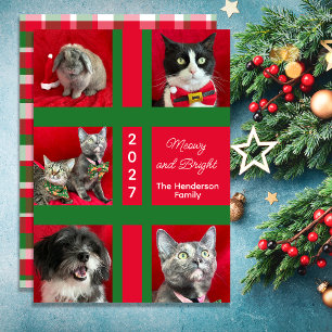 Cartão De Festividades Feliz Natal Multi Cinco Foto de Gato