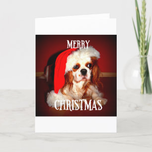 Cartão De Festividades feliz natal papai noel cav