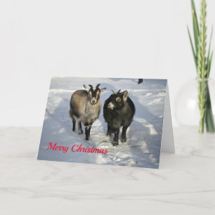 Cartão De Festividades Feliz Natal para a neve