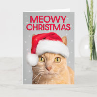 Feliz Natal Para Qualquer Gato De Tabby Laranja Cu
