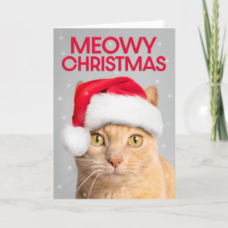 Cartão De Festividades Feliz Natal Para Qualquer Gato De Tabby Laranja Cu