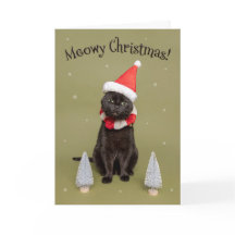 Feliz Natal para Qualquer Gato Divertido de Chapéu