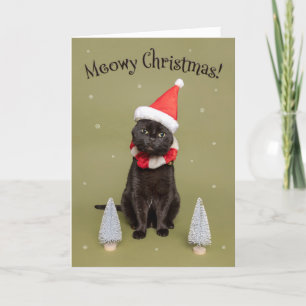 Cartão De Festividades Feliz Natal para Qualquer Gato Divertido de Chapéu