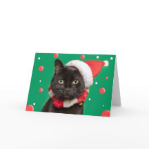 Feliz Natal para qualquer Gato engraçado de chapéu