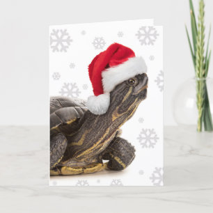 Cartão De Festividades Feliz Natal para qualquer tartaruga com chapéu de