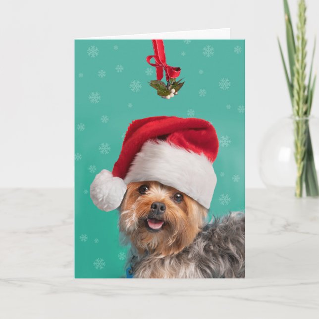 Cartão De Festividades Feliz Natal Para Qualquer Um Cachorro De Yorkie Bo (Frente)