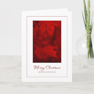 Cartão De Festividades Feliz Natal pela carta das milhas