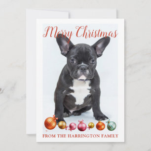 Cartão De Festividades Feliz Natal Personalizado Cachorrinho Bulldog Fran