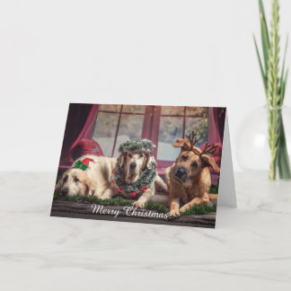 Cartão De Festividades Feliz Natal Personalize Foto de Animal com Nome