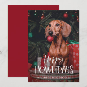 Cartão De Festividades Feliz Natal Pet   Foto de Natal de Cachorro Fofo