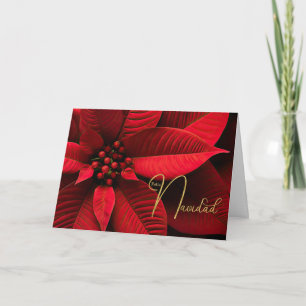 Cartão De Festividades Feliz Natal Poinsettia Espanhola de Natal